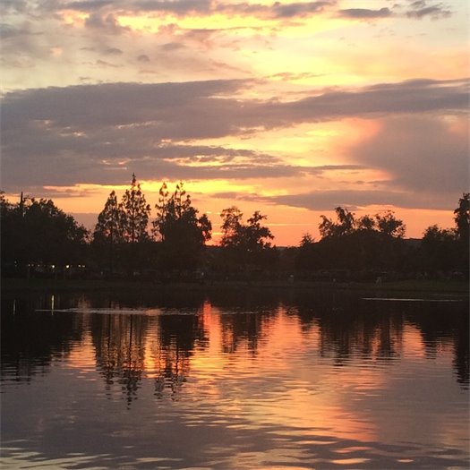 Fall in Rancho Santa Margarita