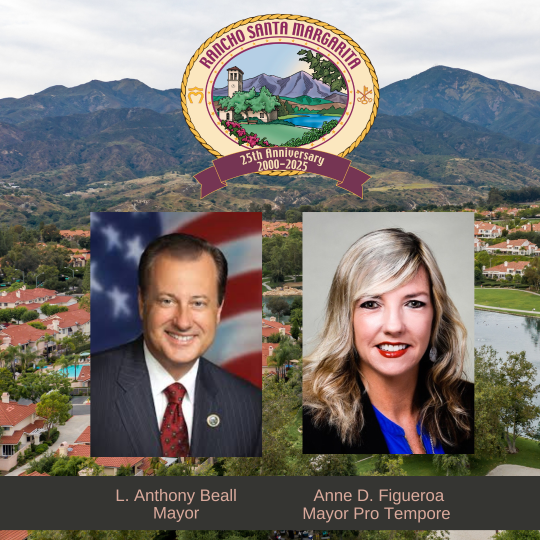 Council Reorganization 