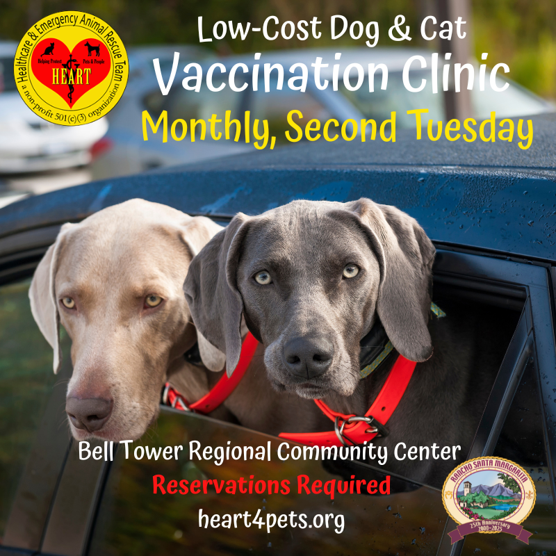 Low-Cost Pet Vaccination Clinic  (1)