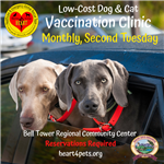 Low-Cost Pet Vaccination Clinic  (1)