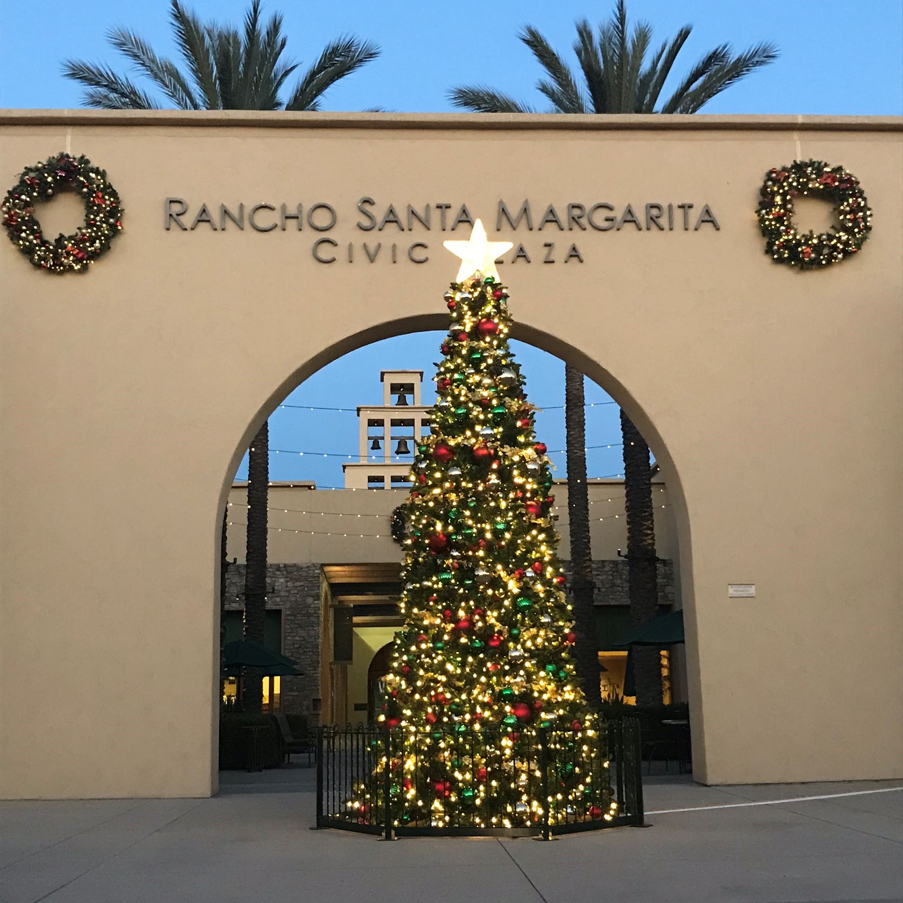 City Hall Christmas Tree