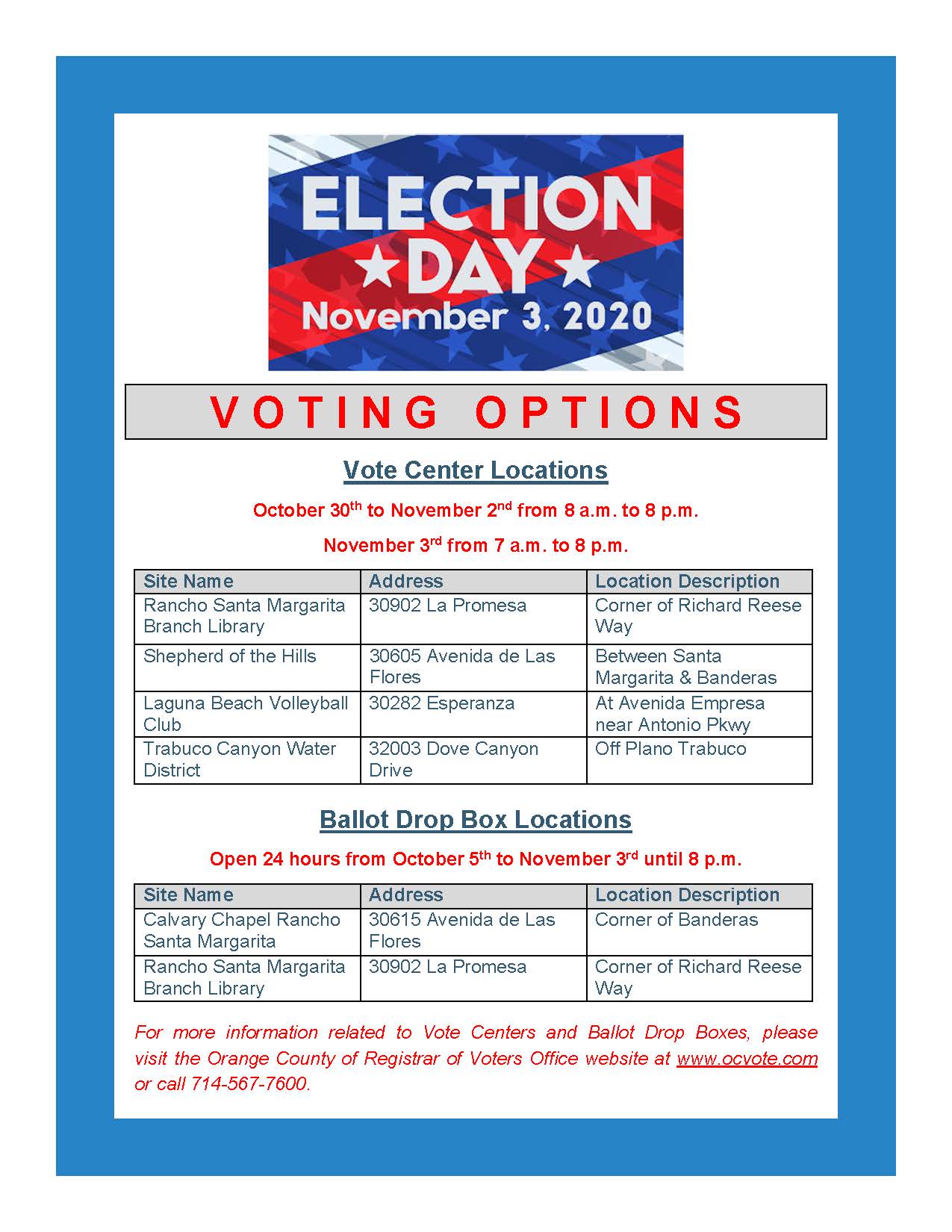Voting Options Flyer  - edit
