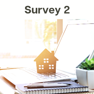 Housing Element Update Survey 2 Graphic 022221