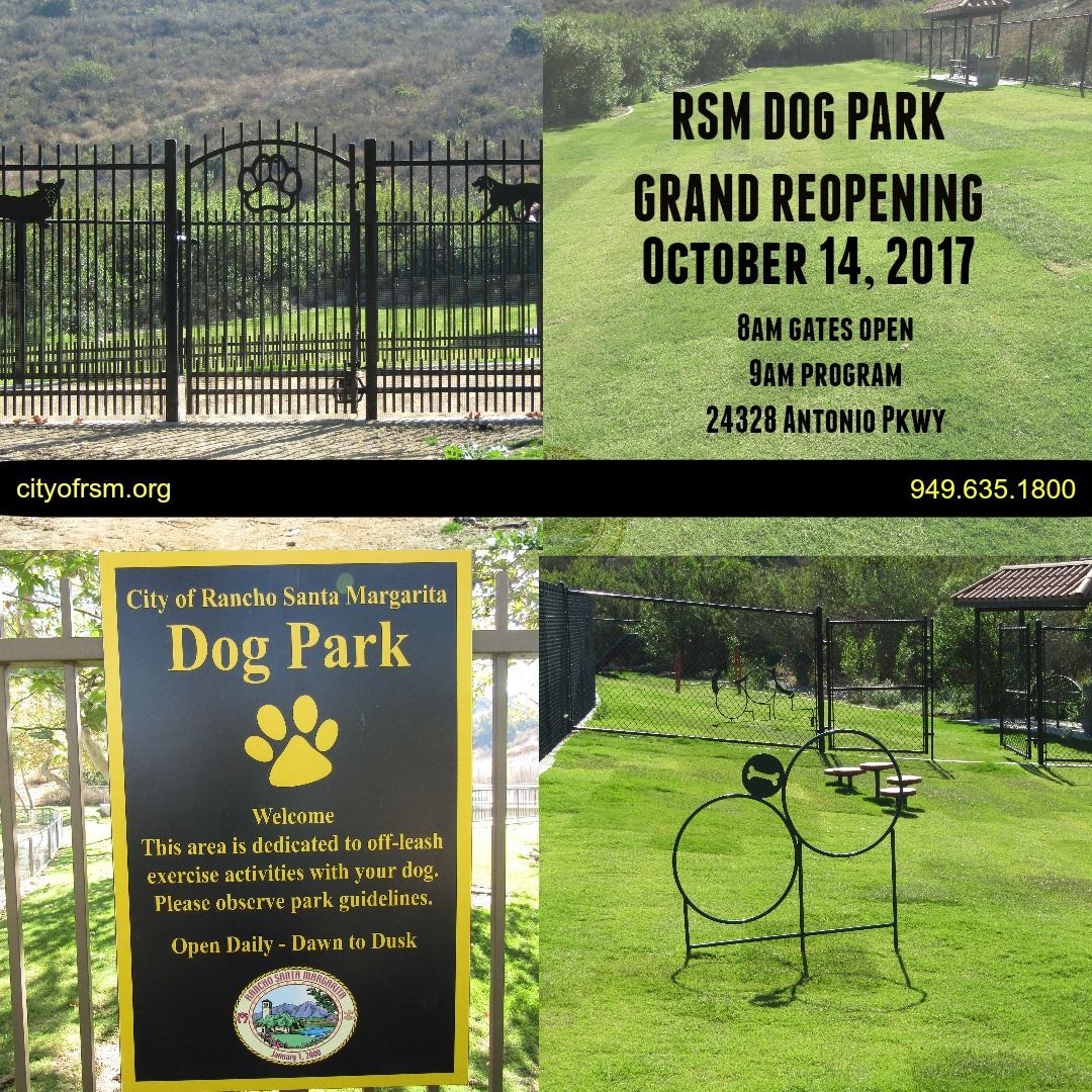 Dog Park Invite